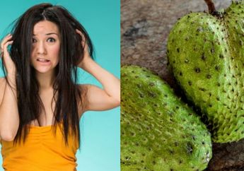 Cara Membuat Kutu Rambut Mati Berjatuhan Dalam Hitungan Menit Tanpa Perlu Diserit, Cukup Pakai Biji Sirsak yang Diolah Begini