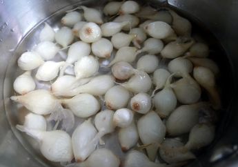 Gak Lama Cuma 10 Menit, Rebus Bawang Merah Lalu Minum Airnya Setiap Hari, Persiapan Bulan Puasa Pasti Gak Pernah Batal Lagi