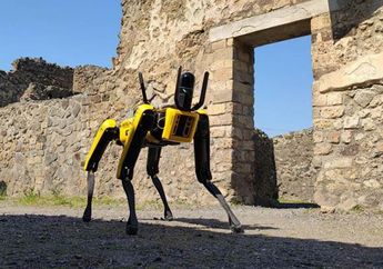 Rentan Pencurian, Situs Pompeii Kini Dijaga oleh Anjing Robot