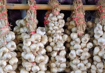 Bikin Shock! Kirain Buat Tangkal Hal Mistis, Ternyata ini Fungsi Mertua Gantung Satu Siung Bawang Putih Di Depan Pintu