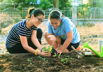 Cara Mempercantik Taman dengan Dana dan Waktu Terbatas, Pakai Konsep Taman Tumbuh!