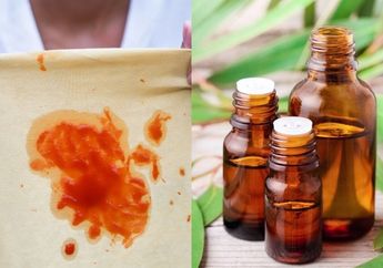 Sudah Dikucek Gak Hilang Juga, Noda Membandel Di Pakaian Ternyata Bisa Dihempas dengan Mudah Pakai Minyak Kayu Putih, Emak-Emak Coba Sekarang Juga!