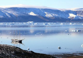 Fosil Tanaman Berusia Jutaan Tahun di Bawah Es Greenland Pukau Ilmuwan