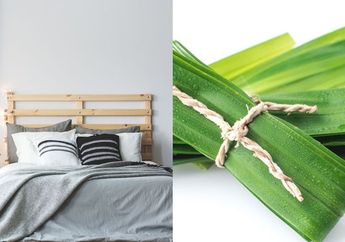 Cukup Iris 3 Lembar Daun Pandan Lalu Taruh Di Bawah Kasur, Jangan Heran Kalau Besok Pagi 1 Keluarga Ogah Beranjak Dari Tempat Tidur, Efeknya Sungguh Fantastis