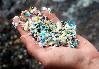 Parasit Berbahaya Buat Manusia Bisa Menumpang Lewat Mikroplastik
