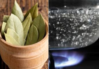 Tak Perlu Beli Obat Mahal, Cukup Rebus Daun Salam dan Rajin Minum Airnya Tiap Hari, Akhirnya Bisa Ucapkan Selamat Tinggal Pada Asam Urat