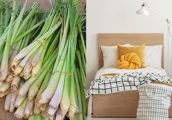 Cuma Letakkan 1 Ikat Serai Di Bawah Tempat Tidur, Jangan Heran Kalau Sekarang Jadi Betah Di Kamar Seharian, Efeknya Mantap Banget!