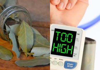 Sering Dipakai Buat Bumbu Masak Tapi Gak Tahu! Daun Salam Ternyata Ampuh Bikin Tekanan Darah Tinggi Ambruk Seketika, Ucapkan Selamat Tinggal Pada Obat
