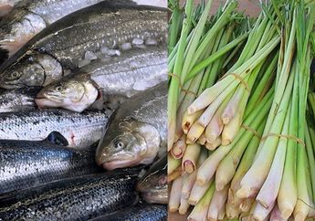 BERITA POPULER : Dari Jangan Lagi Masak Ikan dengan Cara Ini sampai Manfaat Letakkan 1 Ikat Serai Di Bawah Tempat Tidur