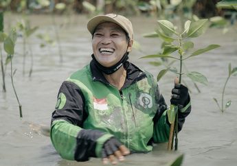 GoTo Kenalkan Fitur Pohon Kolektif, Bisa Tanam Pohon Sambil Naik Gojek