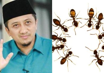 Nggak Nyangka! Ternyata Begini Awal Mula Yusuf Mansur Berubah dari Mantan Napi jadi Ustaz: Pelajaran Pertama, Gara-gara Semut