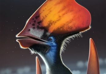 Pterosaurus 'Kadal Bersayap' Ternyata Berbulu Seperti Burung