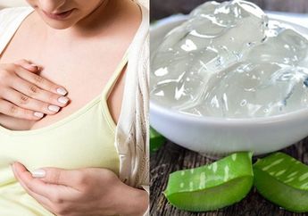 Cuma 30 Menit Pijat Payudara dengan Lidah Buaya, Efeknya Bisa Bikin Kencang Bak Gadis! Suami Pasti Sampai Terkaget-kaget