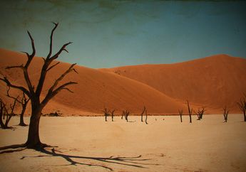 Dua Lelaki dan Anjingnya