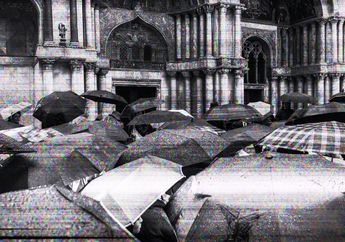 Jeritan Angsa Liar dan Kisah yang Aneh