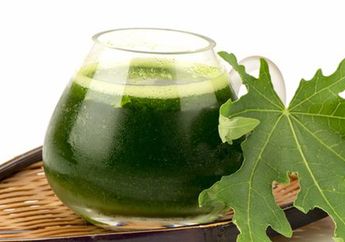 Jangan Cuma Jadi Lalapan Saja! Mending Coba Jus Daun Pepaya Lalu Minum, Obat Dari Dokter Pasti Gak Akan Terpakai Lagi