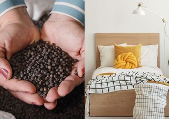 Berawal Dari Iseng Letakkan Merica Di Bawah Tempat Tidur, Nggak Disangka Esok Hari Kaget Lihat Efeknya Ke Tubuh, Ada Apa Ya?
