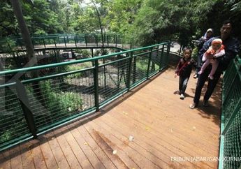 Dijamin Instagramable, Simak 4 Tempat Wisata di Bandung yang Cocok untuk Habiskan Libur Lebaran 2022 Bareng Keluarga