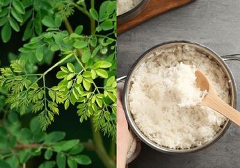 BERITA POPULER : Cara Hilangkan Flek Hitam dengan Daun Pinggir Jalan Sampai Kondisi yang Dilarang Makan Nasi Baru Matang