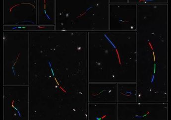 Para Astronom Menemukan 1.701 Jejak Asteroid Baru dalam Gambar Hubble
