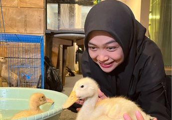 Yang Butuh Kerja Merapat! Ria Ricis Cari Suster Untuk Bebeknya dengan Gaji di Atas UMR Jakarta, Tak Lihat Latar Pendidikan yang Penting Penuhi Syarat Ini