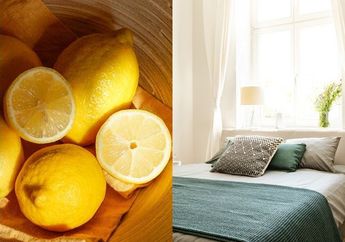Baru Semalam Iseng Taruh Irisan Lemon Di Samping Tempat Tidur, Pagi Harinya 1 Keluarga Malah Dibuat Girang dengan Efeknya, Kok Bisa?