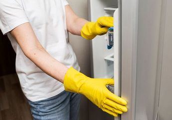 Jangan Langsung Panik! Cuma Modal Pasta Gigi Bisa Bantu Bersihkan Karet Pintu Kulkas Seperti Baru, Caranya Gampang Banget