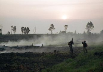 Kebakaran Hebat yang Menggagalkan Mega Proyek Beras Indonesia 1997