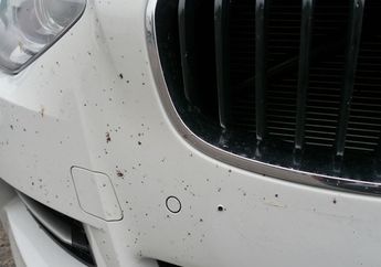 Bumper Mobil Ada Noda Aspal Sepulang Perjalanan Mudik Lebaran, Begini Cara Bersihkannya