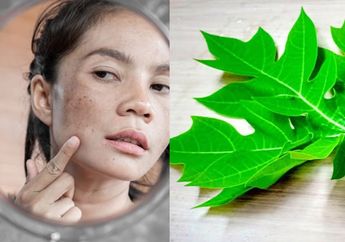 Malu Sampai Dikatain Tua, Padahal Cuma Modal Daun Pepaya Ampuh Bikin Tanda-tanda Penuaan Lenyap, Begini Caranya