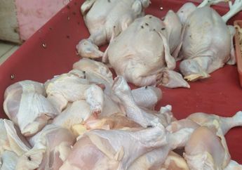 Pantas Saja Daging Ayam Cepat Rusak dan Busuk Meski Disimpan di Lemari Es, Ternyata Ini Kesalahan Besar yang Kerap Moms Lakukan