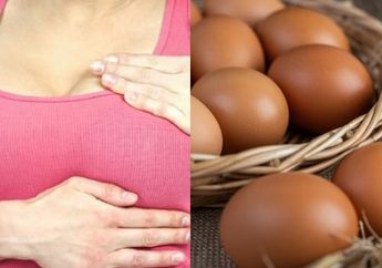 Selamat Tinggal Payudara Kendur, Buah Dada Kencang Bak Remaja Ternyata Modalnya Cuma Butuh Telur Ayam, Bikin Suami Kagum