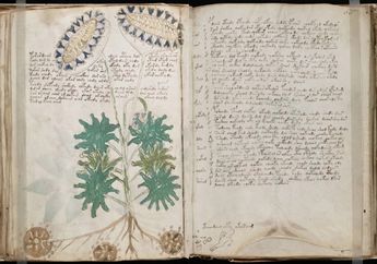 Peneliti Bristol Sukses Pecahkan Kode Naskah Kuno 'Manuskrip Voynich'