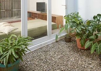 Green Design untuk Rumah di Lahan Terbatas, Wujudkan dengan 8 Hal Ini!