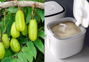 Cuma Modal 3 Lembar, Iseng Simpan Daun Belimbing Wuluh di Tempat Beras, Ibu Rumah Tangga Gak Nyangka Lihat Efeknya 2 Hari Kemudian