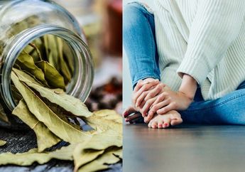 Gak Perlu Minum Obat Mahal Buat Atasi Asam Urat, Cukup Olah Daun Salam dengan Cara Ini, Rasa Sakit Pasti Gak Bakal Kambuh Lagi