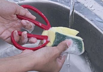 Gunting Tumpul Meresahkan! Begini Rahasia para Koki Agar Gunting Bisa Tajam dengan Modal Sabun Cuci Piring