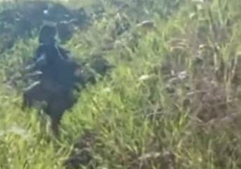 Nekat Menyusup ke Pos Keamanan TNI-Polri, 2 Orang Kaki Tangan KKB Papua Pimpinan Egianus Kogoya Diringkus Tepat di Depan Pintu, Sempat Ada Tembakan Membabi Buta