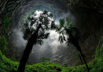 Lubang Raksasa dengan Hutan di dalamnya Ditemukan di Tiongkok