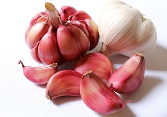 Cara Meracik Bawang Merah dan Bawang Putih untuk Suburkan Tanaman, Begini Tipsnya!