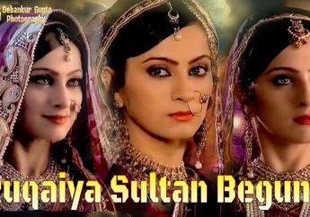 Permaisuri Terlama Kesultanan Mughal India, Inilah Kisah Ruqaiya Sultan Begum, Bertahan Hingga Lima Dekade Karena Keturunannya Meskipun Tidak Memiliki Anak Kandung, Bagaimana Bisa?