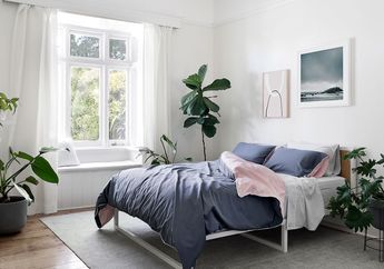 Apakah Benar Kita Harus Memiliki Tanaman di Kamar Tidur Kita? Berikut Penjelasannya!