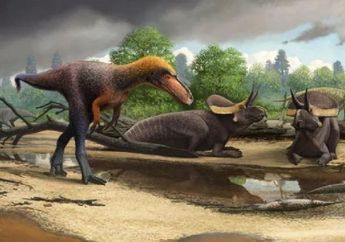 Tingginya Cuma 1 Meter, Inilah Leluhur T-Rex Sebelum Berevolusi
