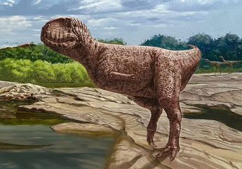 Penemuan Dinosaurus Dari Zaman Kapur di Oasis Bahariya, Mesir