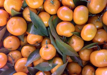 Tips Memilih Buah Jeruk yang Manis dan Matang, Perhatikan 4 Hal Ini Supaya Tak Salah Pilih