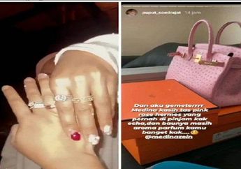 Medina Zein Berikan Tas Hermes Palsu untuk Vanessa Angel? Uya Kuya Sampai Cari Pendapat Ahli untuk Cari Tahu Keberannya, Puput Kini Warisi Tas Setengah Miliar Ini