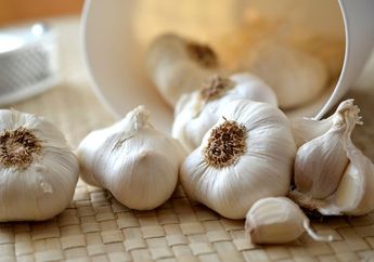 Coba Kunyah 1 Siung Bawang Putih Lalu Telan Mentah-mentah, Jangan Kaget Kalau Penyakit yang Sering Dialami Bapak-bapak Ini Sembuh Tanpa Obat