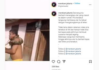 Sok Jagoan Mau Jinakkan Ular, Pria Ini Tertangkap Kamera Nyaris Meregang Nyawa, Begini Kronologinya