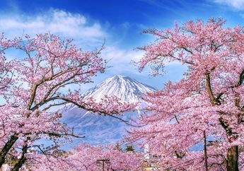 4 Manfaat Bunga Sakura Buat Kulit Wajah, Langsung Halus dan Cerah!