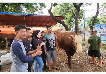 Jelang Iduladha 2022, Nathalie Holcher Siapkan Sapi Seberat 900 Kg dengan Harga Fantastis, Ternyata Tak Cantumkan Nama Sule ke Sapi Kurbannya, Kenapa?